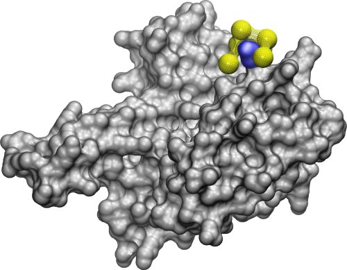 Nanobiotics: AI for discovering where and how nanoparticles bind with proteins