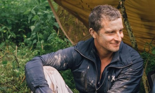 How to Handle a Mountain Lion in the Wild, According to Bear Grylls