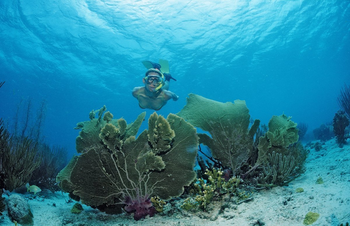 Dive In: 5 Must-Visit Snorkeling Spots in the Caribbean