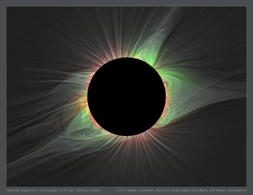 Total solar eclipses shine a light on the solar wind with help from NASA's ACE mission