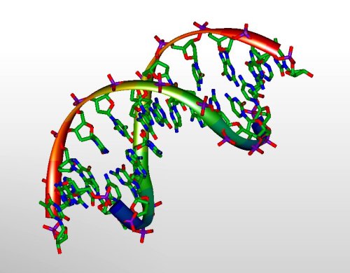 ANCESTRY 
GENETIC EVOLUTION
GENOMES DNA

 cover image