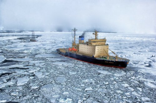 A 'regime shift' is happening in the Arctic Ocean, scientists say