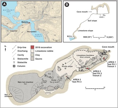 New evidence from West Papua offers fresh clues about how and when humans first moved into the Pacific
