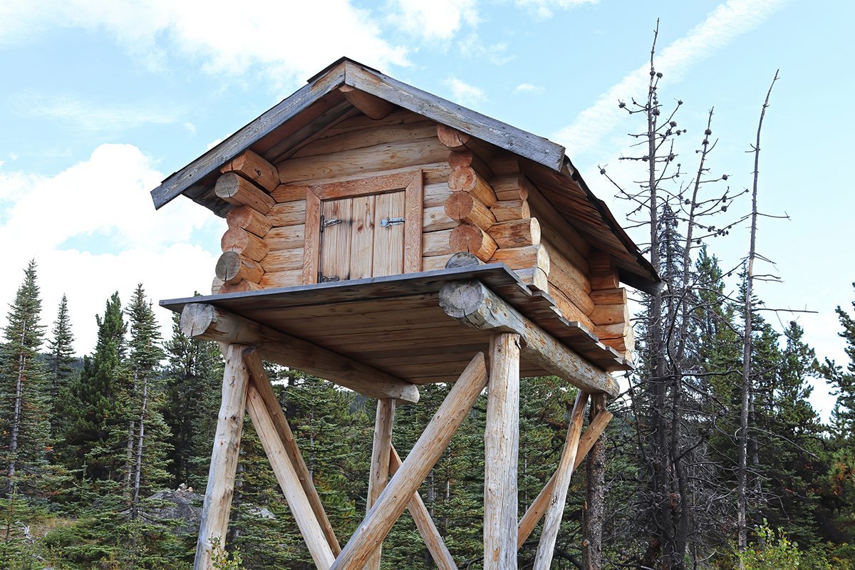 How Bear Grylls Keeps His Food Safe From (Other) Bears
