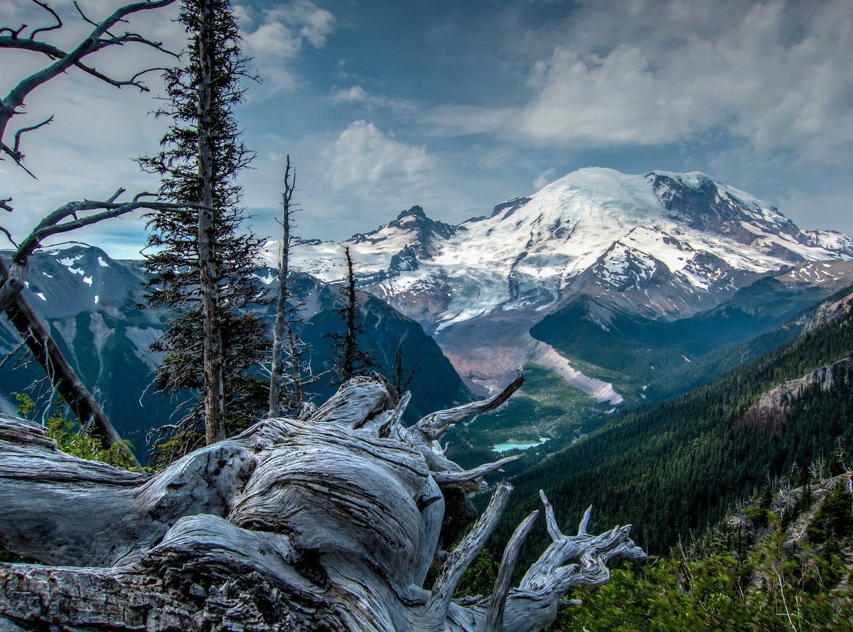 Would You Work for a National Park for Free? Mount Rainier is Asking for Full-Time Volunteers, ‘Starting ASAP’