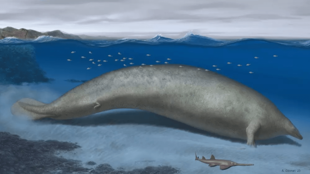 750,000 Pounds: Scientists Discover The Heaviest Animal Ever To Have Existed