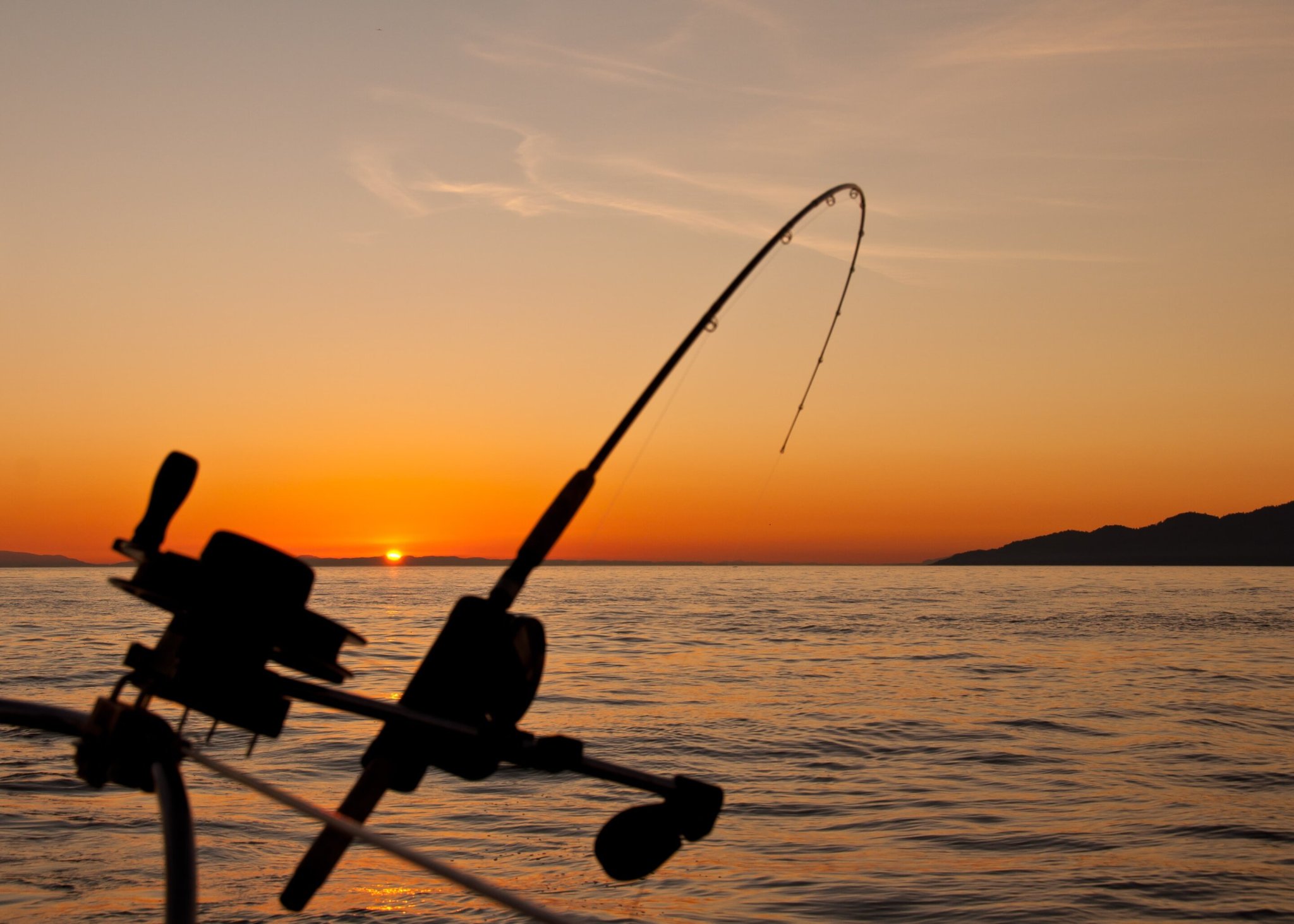 Fishing could ease severe mental health issues, survey finds