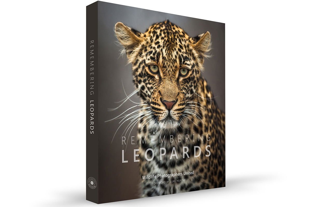 Book Series Leverages Wildlife Photography for Conservation: A Q&A with ‘Remembering Wildlife’ Founder Margot Raggett