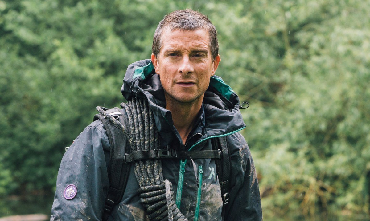 Here Are The Deadly Insects You Should Avoid, According To Bear Grylls