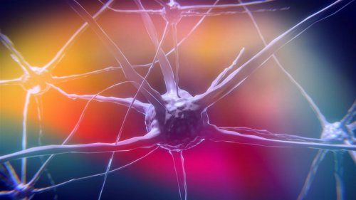 Mystery of How Psychedelic Drugs Rapidly Rebuild Neural Connections Solved