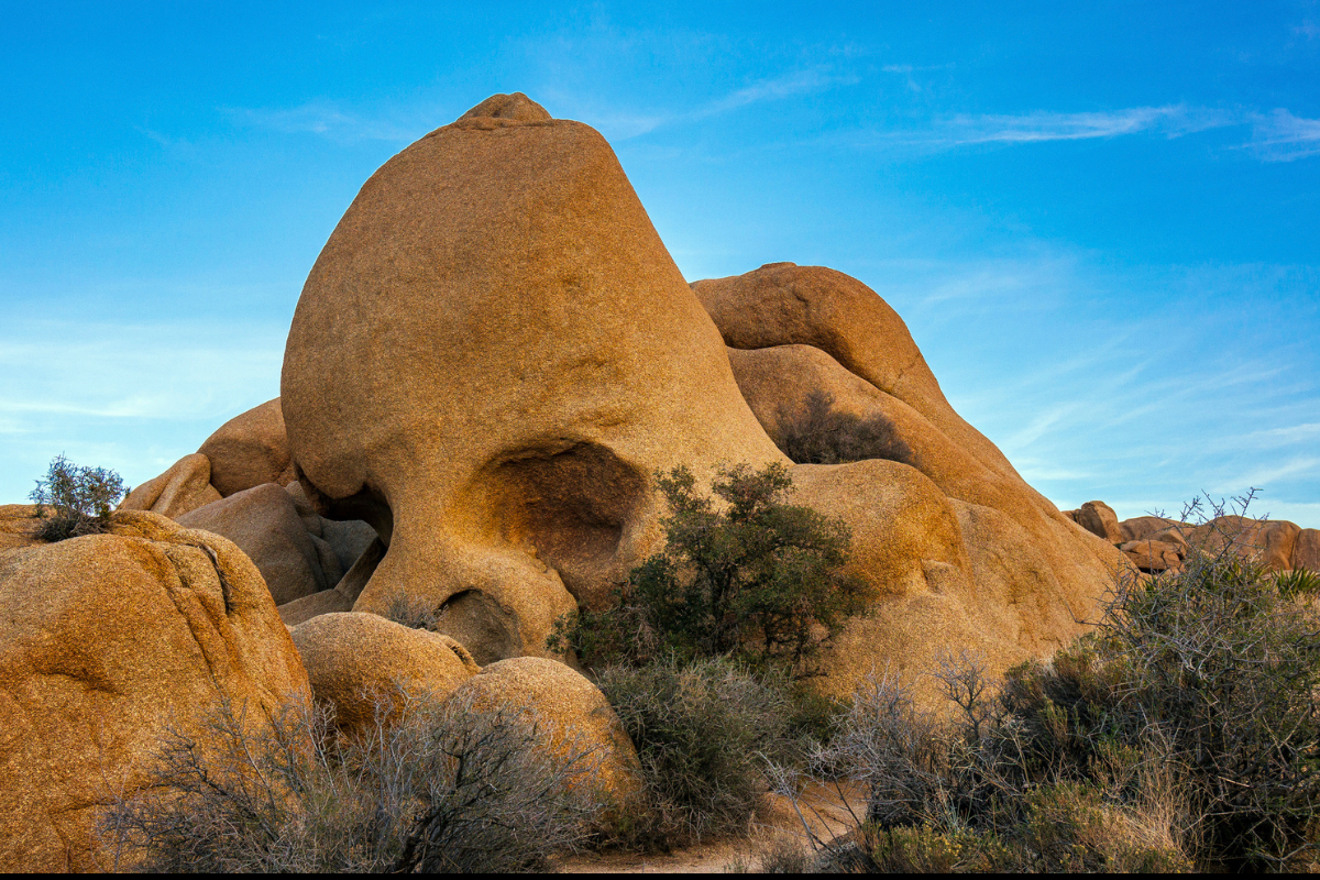 5 Cool Things to See in Joshua Tree National Park