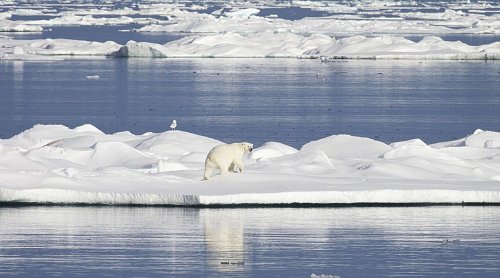 Clouding the forecast: Why so many climate models are wrong about rate of Arctic warming