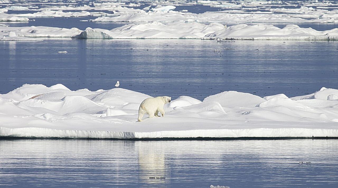 Clouding the forecast: Why so many climate models are wrong about rate of Arctic warming