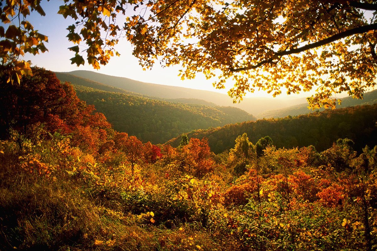 Best U.S. National Parks for Fall Foliage