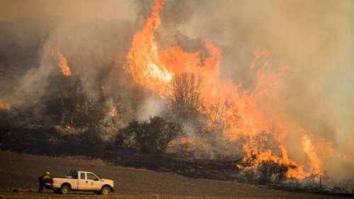 Satellite data shows how drought changes wildfire recovery in the West