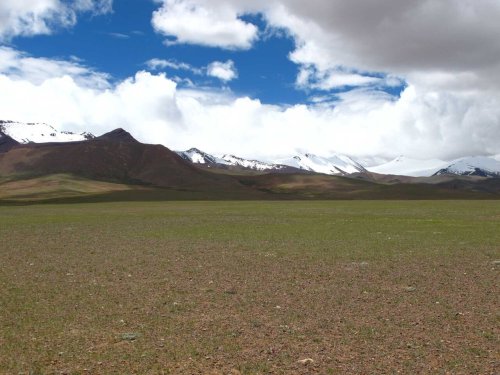 Denisovans or Homo sapiens: Who were the first to settle permanently on the Tibetan Plateau?