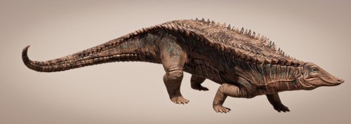 Tanks of the triassic: New crocodile ancestor identified