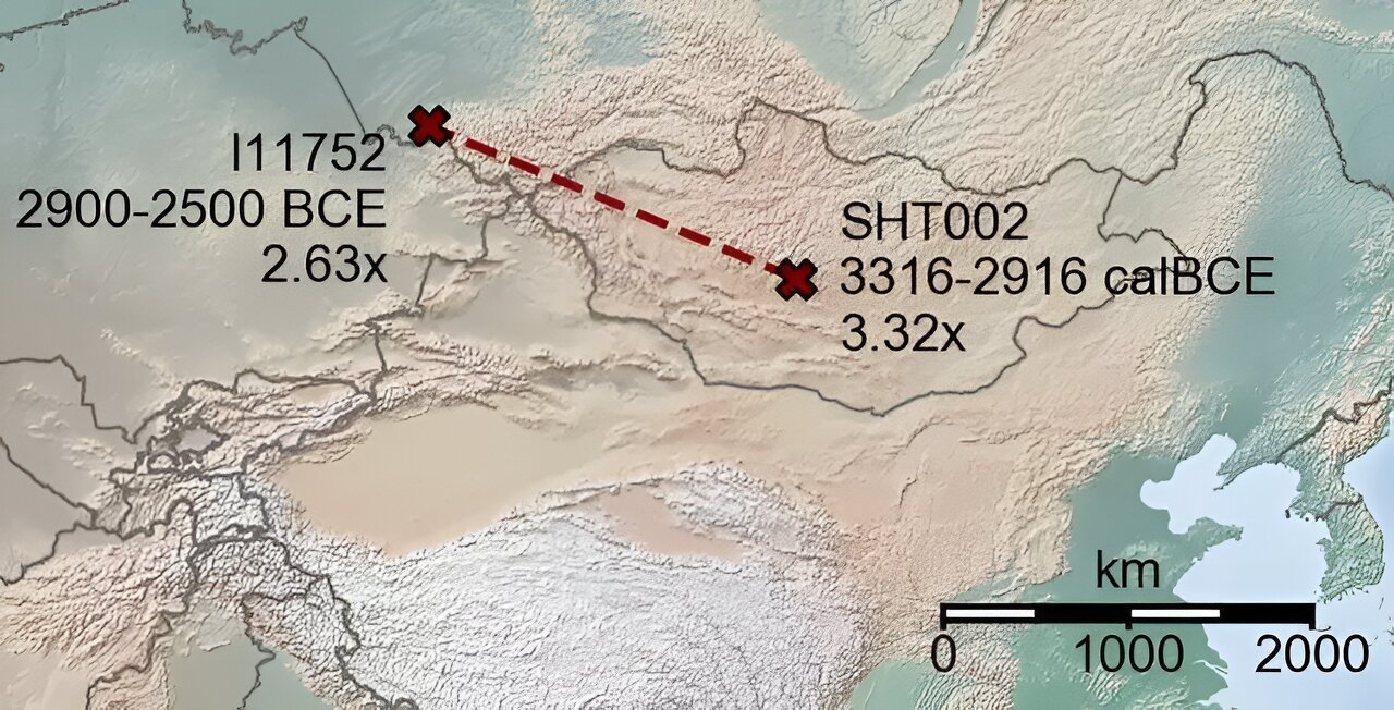 Revealing close and distant relatives in ancient DNA with unprecedented precision