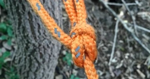 Learn these essential knots before going outside