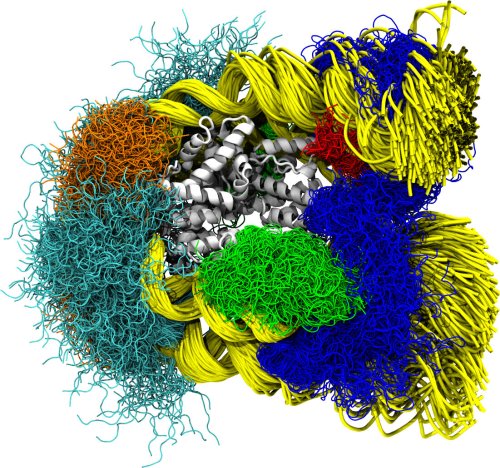Computer simulations animate in atomic detail how DNA opens
