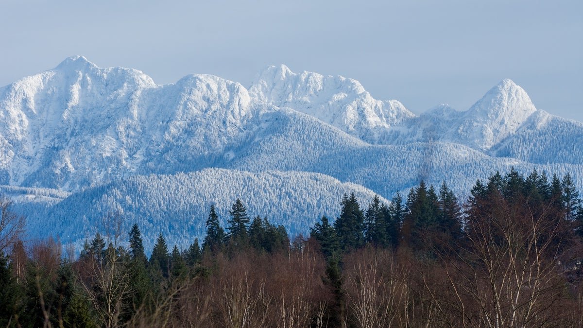 A Group of Hikers Spent 3 Nights Trapped in a Blizzard. Rescuers Say One Detail Saved Their Lives.