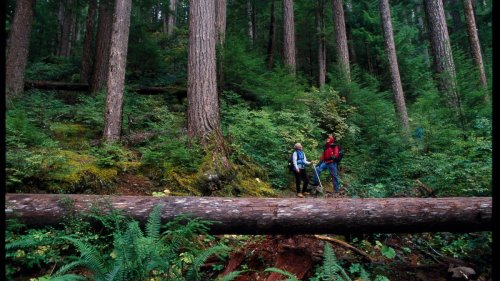 The 45 Best Backpacking Stories of All Time