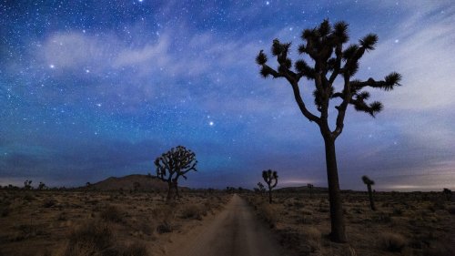 The Best Hikes in Joshua Tree National Park