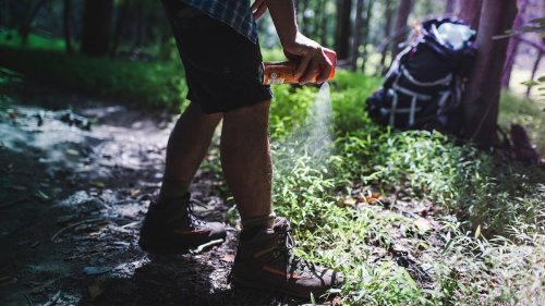 Is DEET Really Your Best Choice? We Explored Your Options for Insect Repellent.