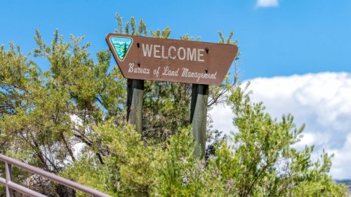 Lawmakers Removed a 500,000-Acre Public Lands Sell-Off from the President's Budget Bill