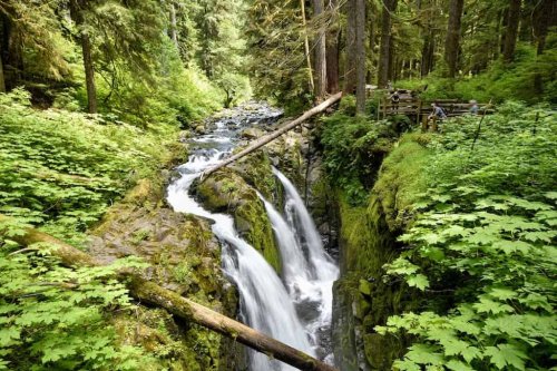 Find this Magical Corner of Olympic National Park for Waterfalls, Hot Springs, and Epic Scenery