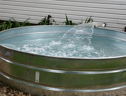 Stock Tank Pool Ideas Perfect For A Small Backyard