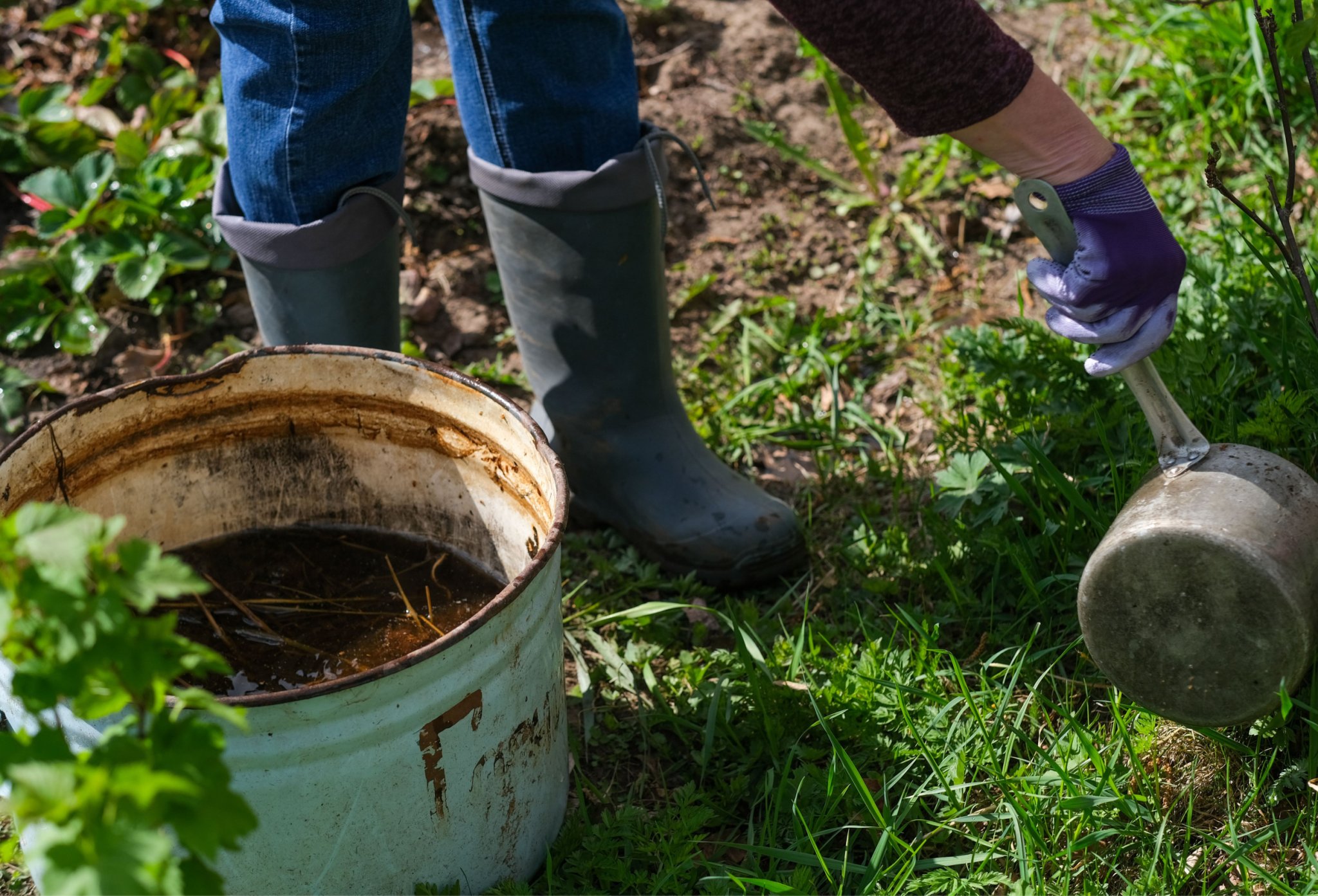 How to Make Compost Tea