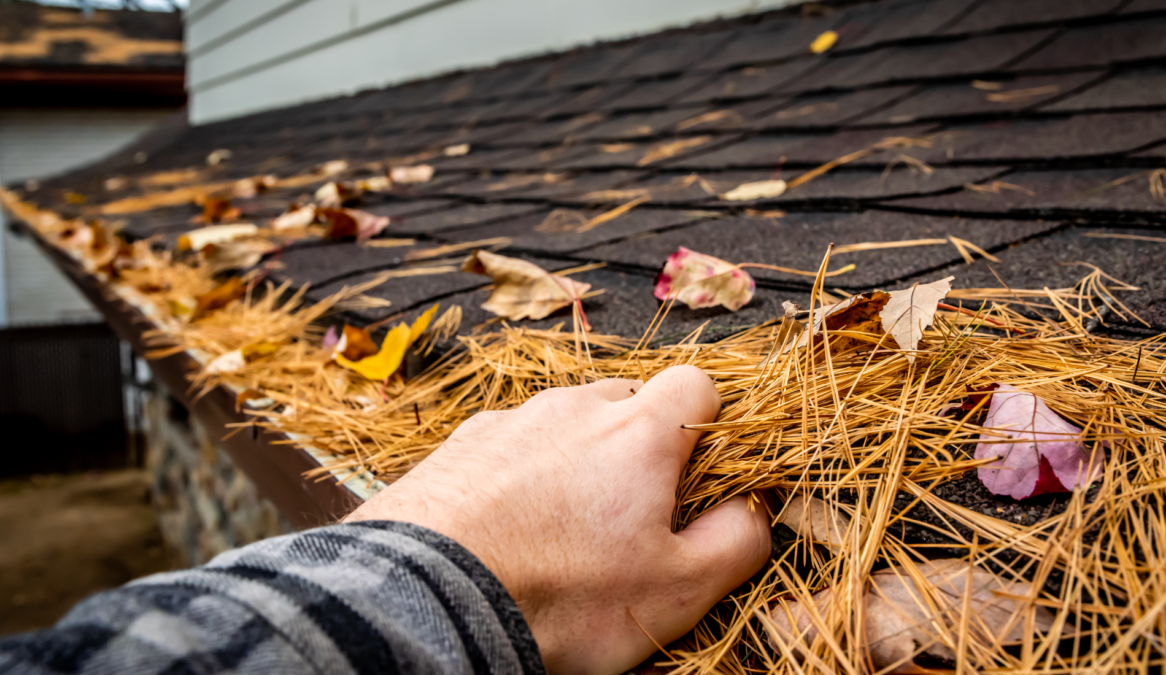 Why You Should Clean Your Gutters In The Spring