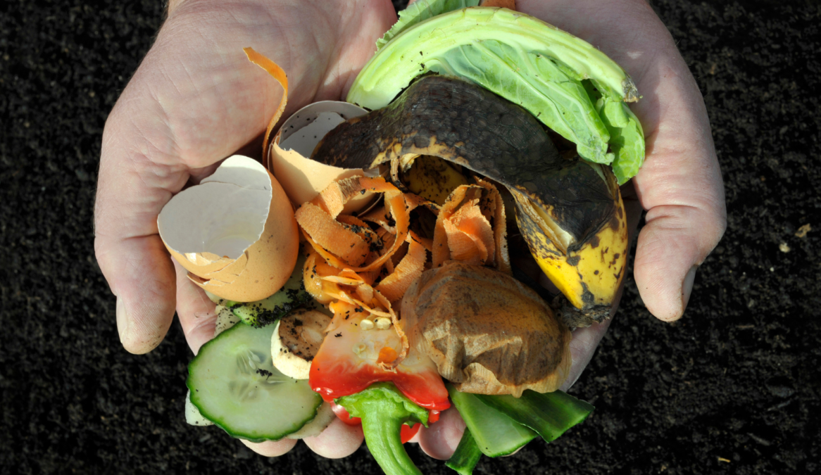 Never Put These 18 Things in Your Compost Bin