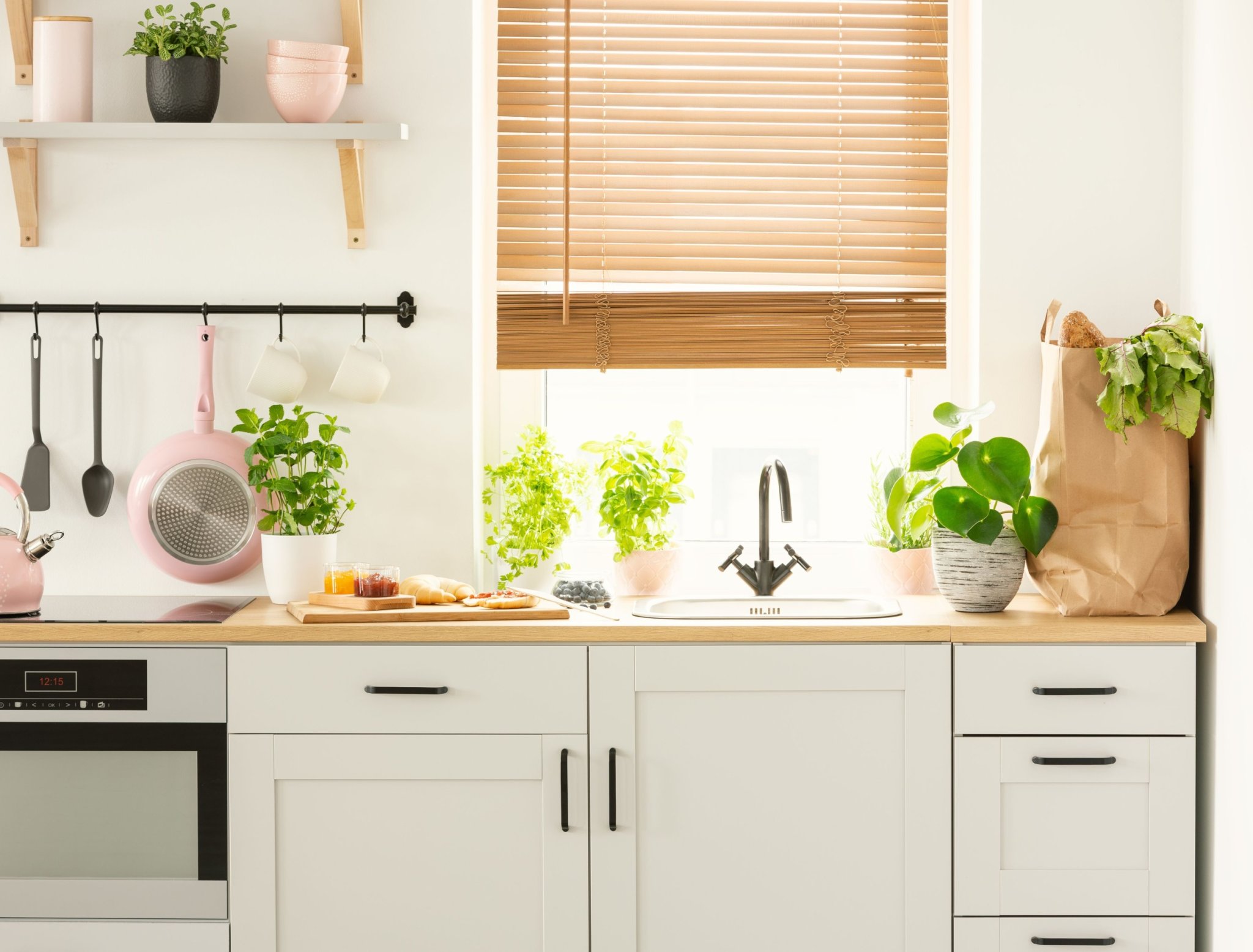 6 BEST INDOOR PLANTS FOR YOUR KITCHEN Flipboard