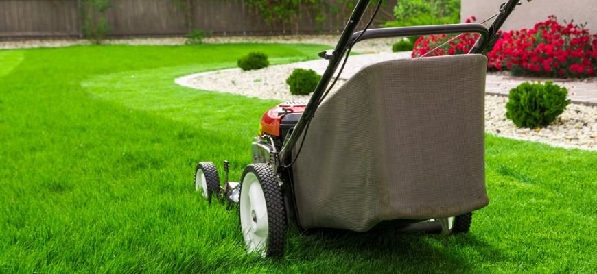Lawn Care Tips: Year Round Maintenance for a Healthy Lawn - Backyard Boss