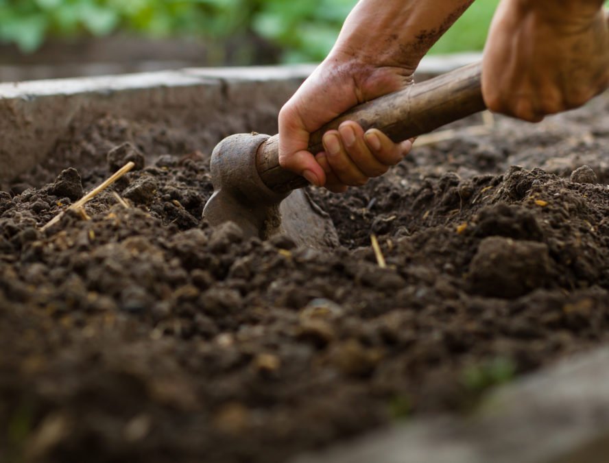 How To Fix Compacted Soil In Your Garden