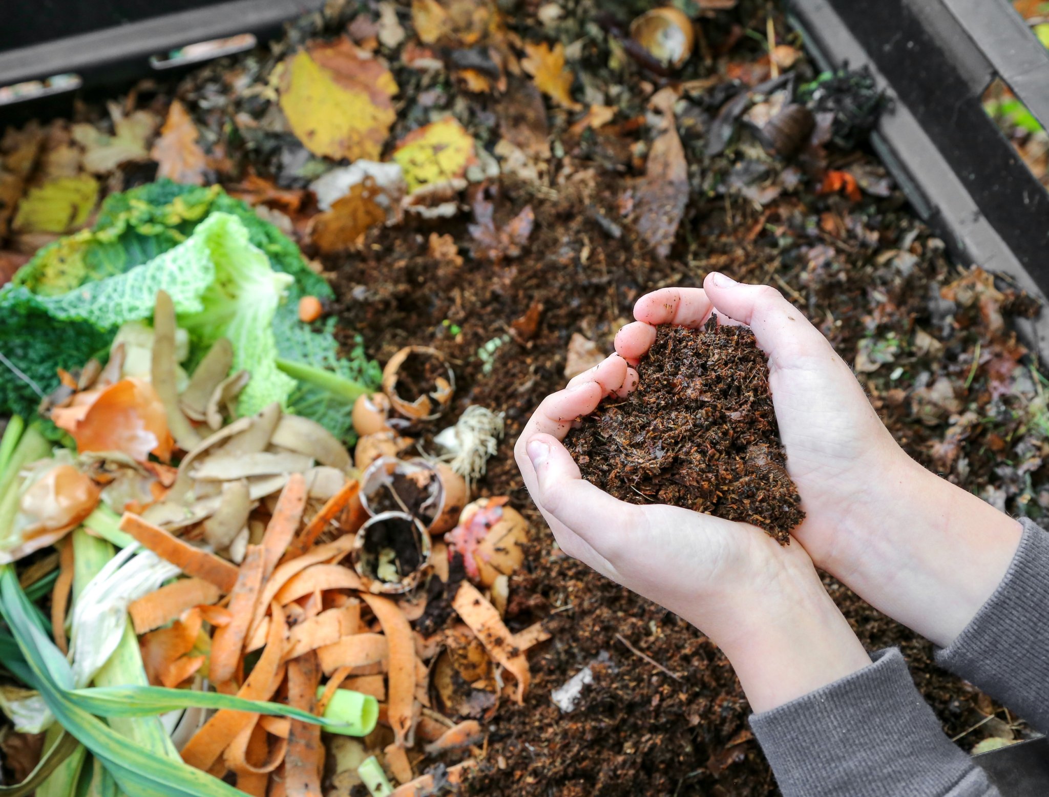 5 Composting Mistakes You May Be Making