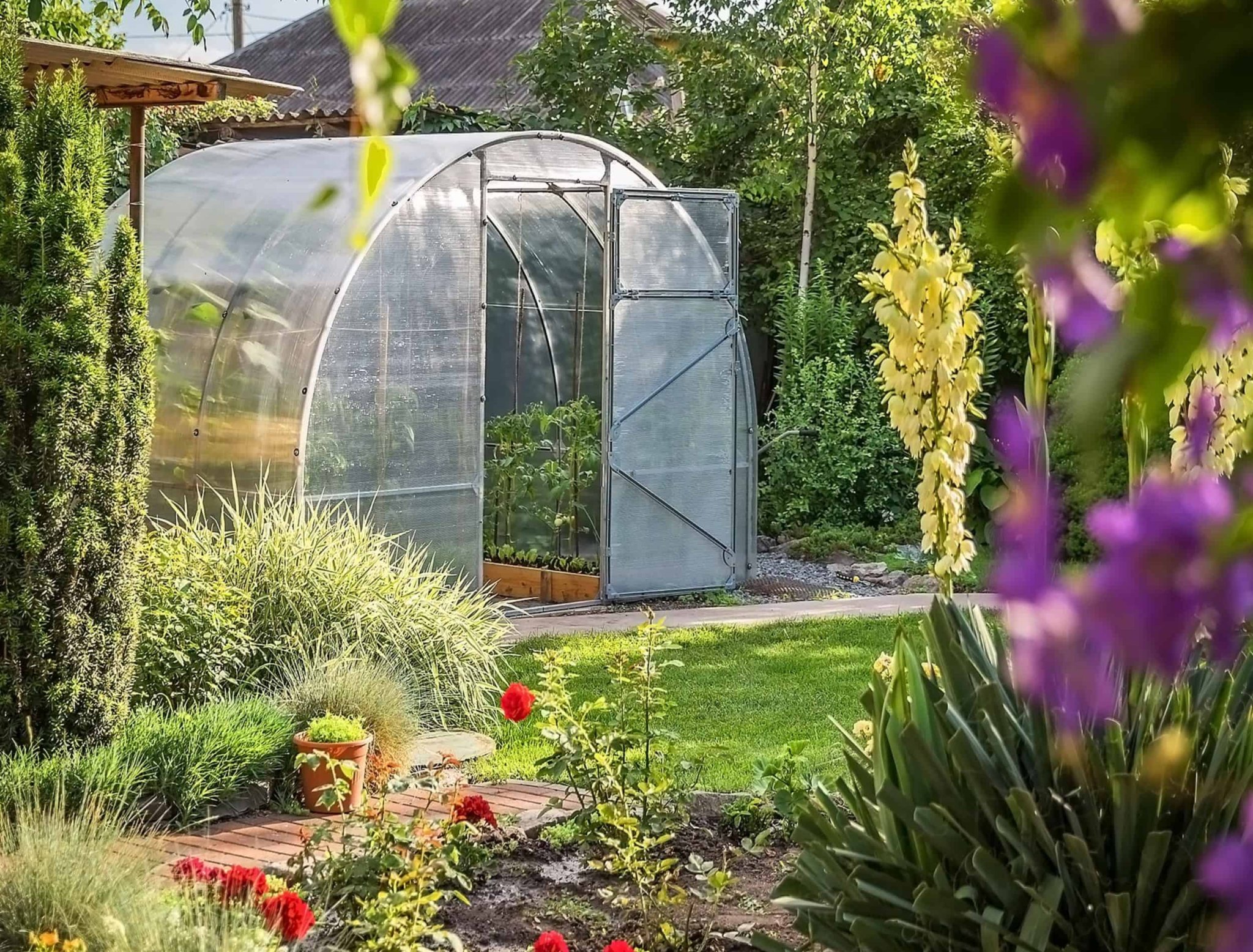 10-best-vegetables-to-grow-in-a-greenhouse-flipboard