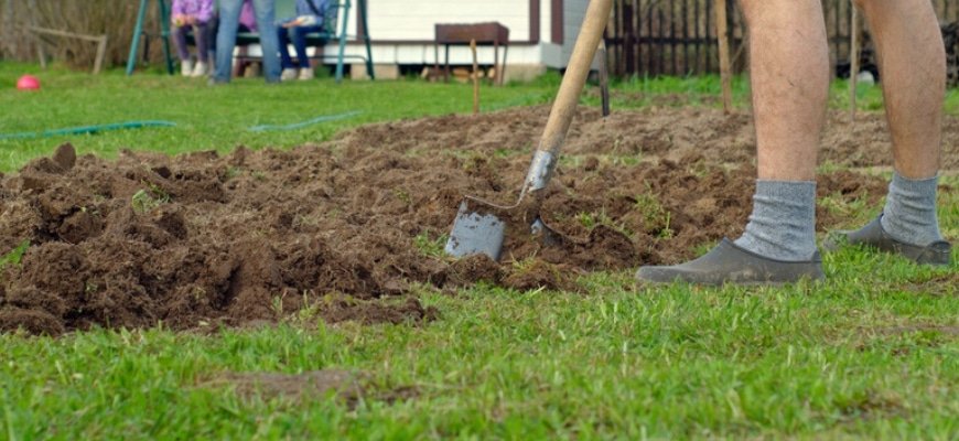 Improve Your Lawn With a Top Dressing Treatment - Backyard Boss
