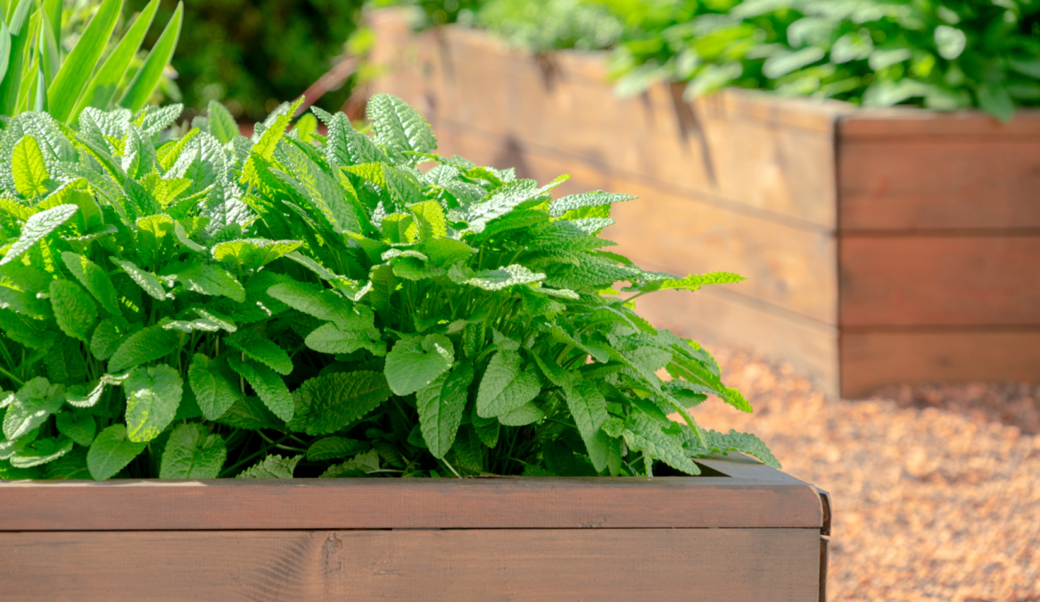 10 Herb Garden Ideas