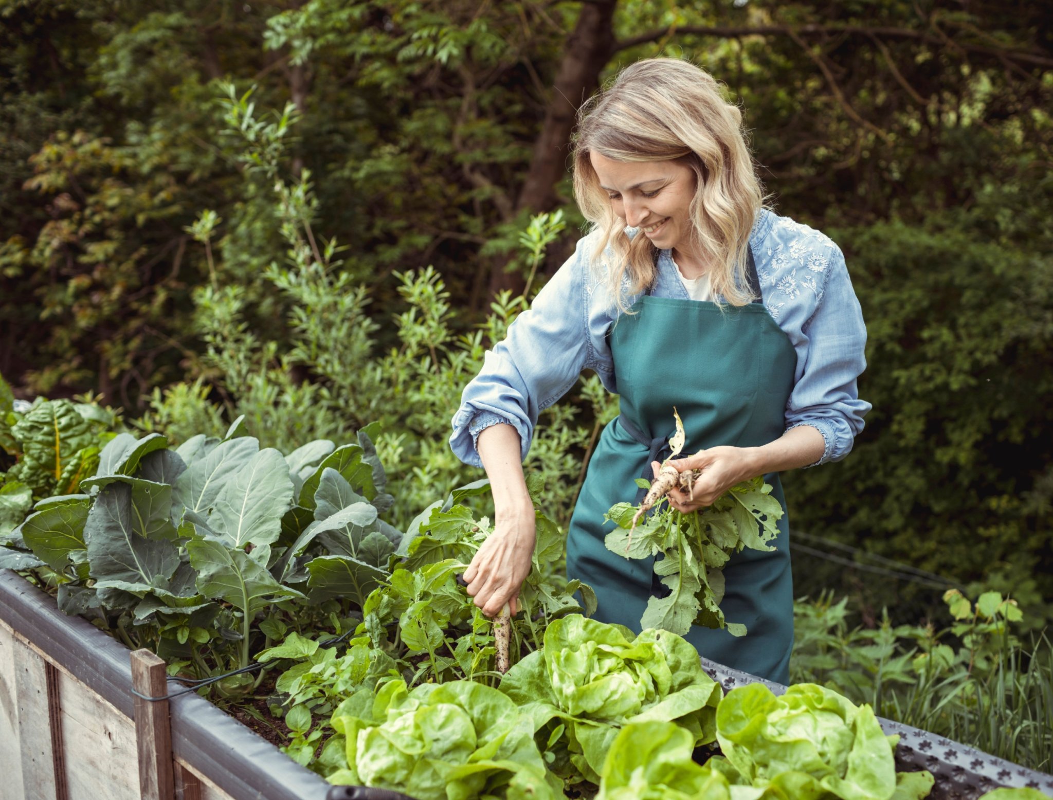7 Companion Plants for Potatoes