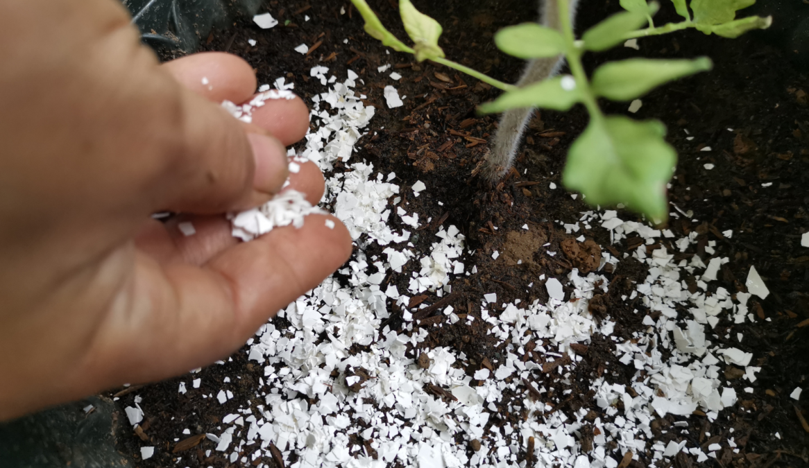How To Make Your Own Garden Fertilizer For Free