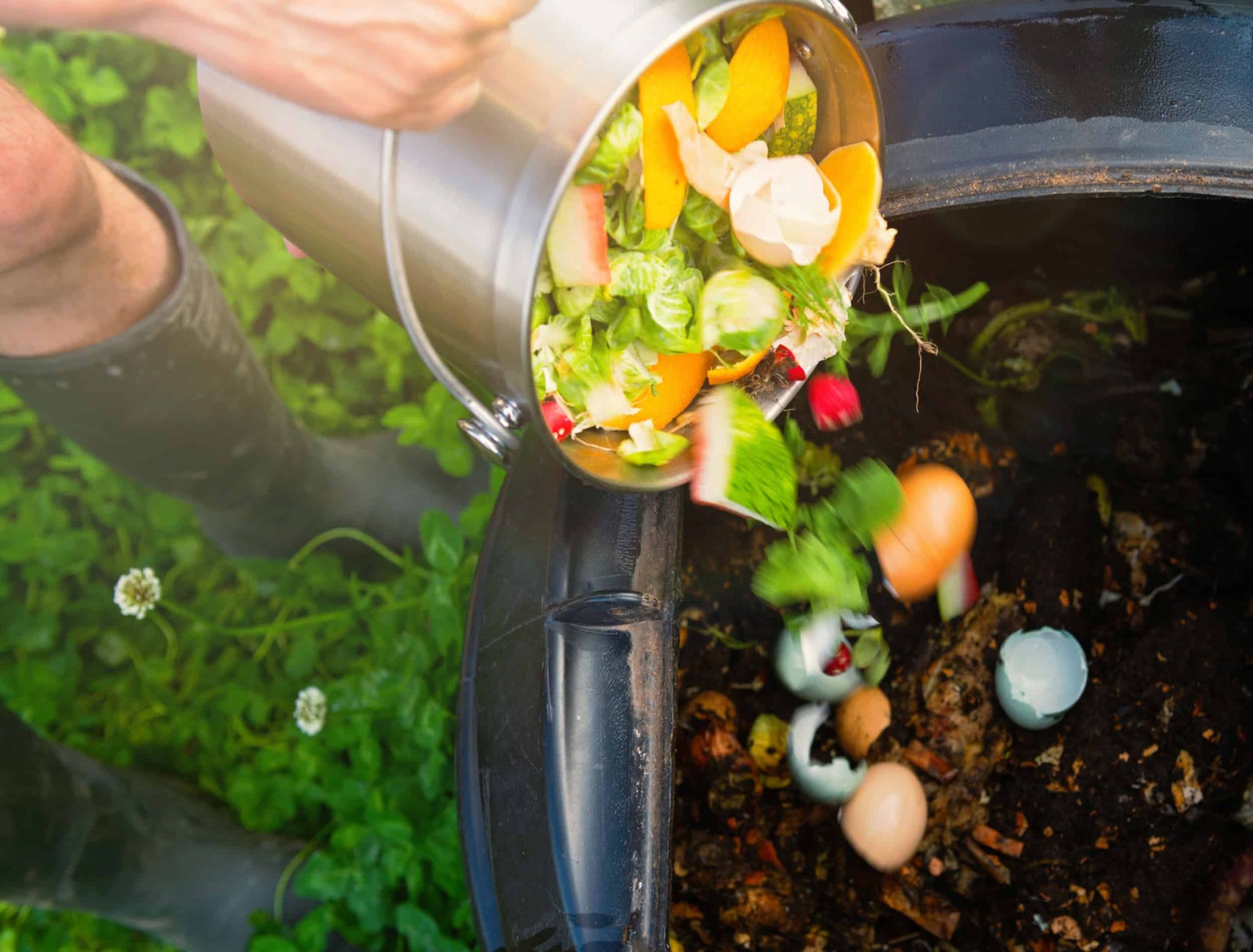 How Often You Should Add To Your Compost Pile
