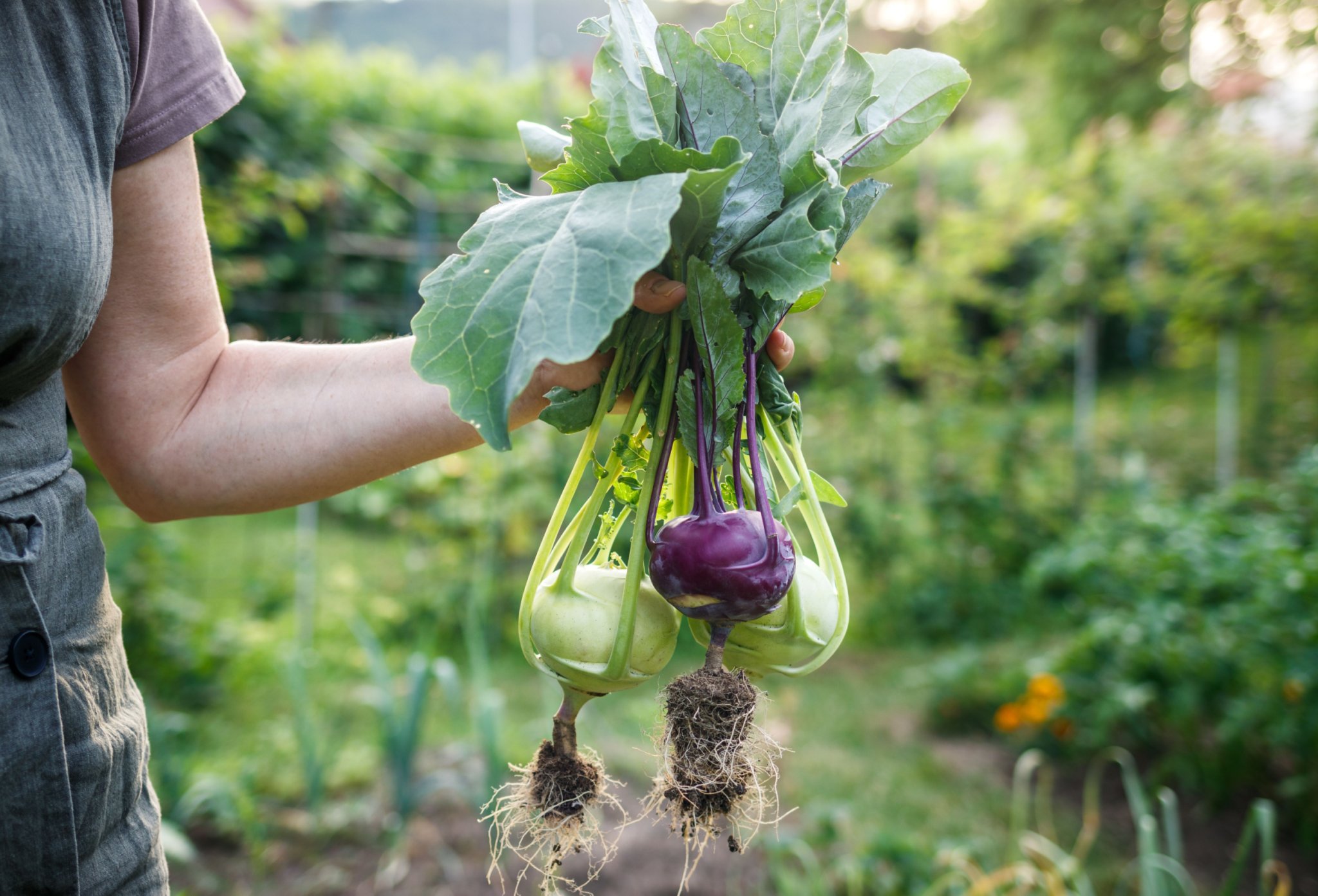 7 Unusual Vegetables To Try Growing in 2023 - Backyard Boss
