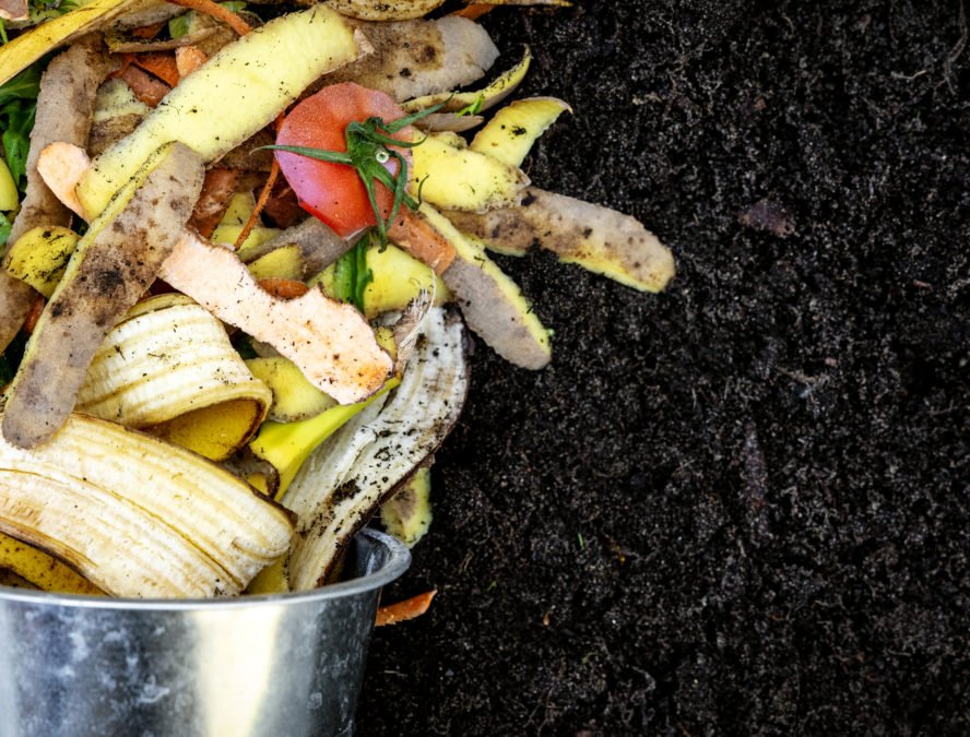 7 Ways To Revive Old Compost