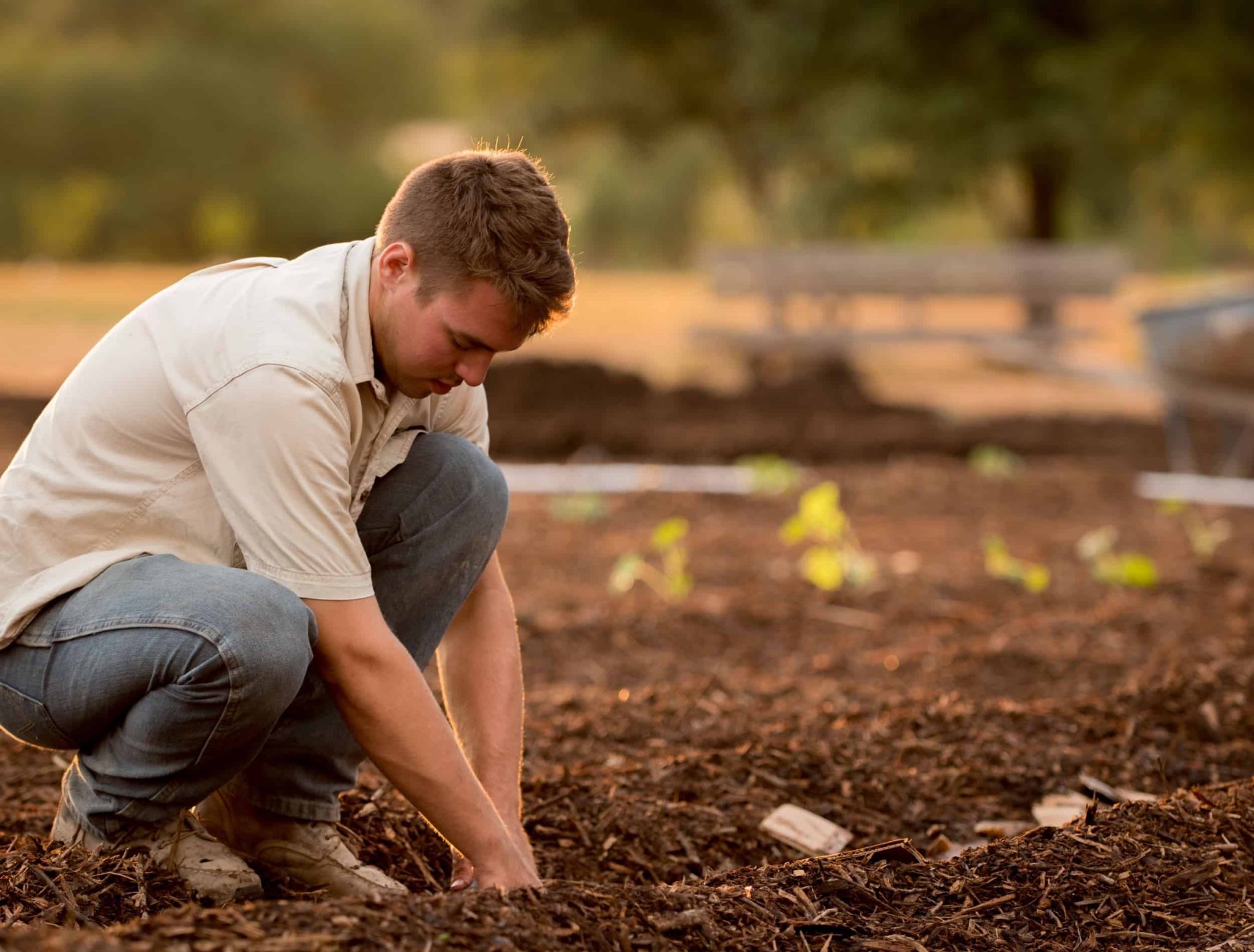 How to Prepare Your Soil for a Garden
