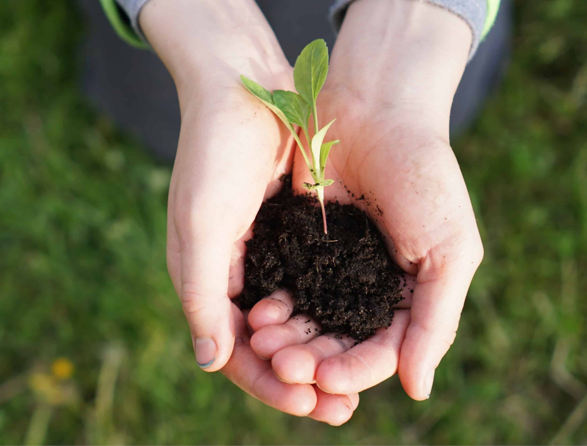 5 Ways To Conserve Your Garden Soil