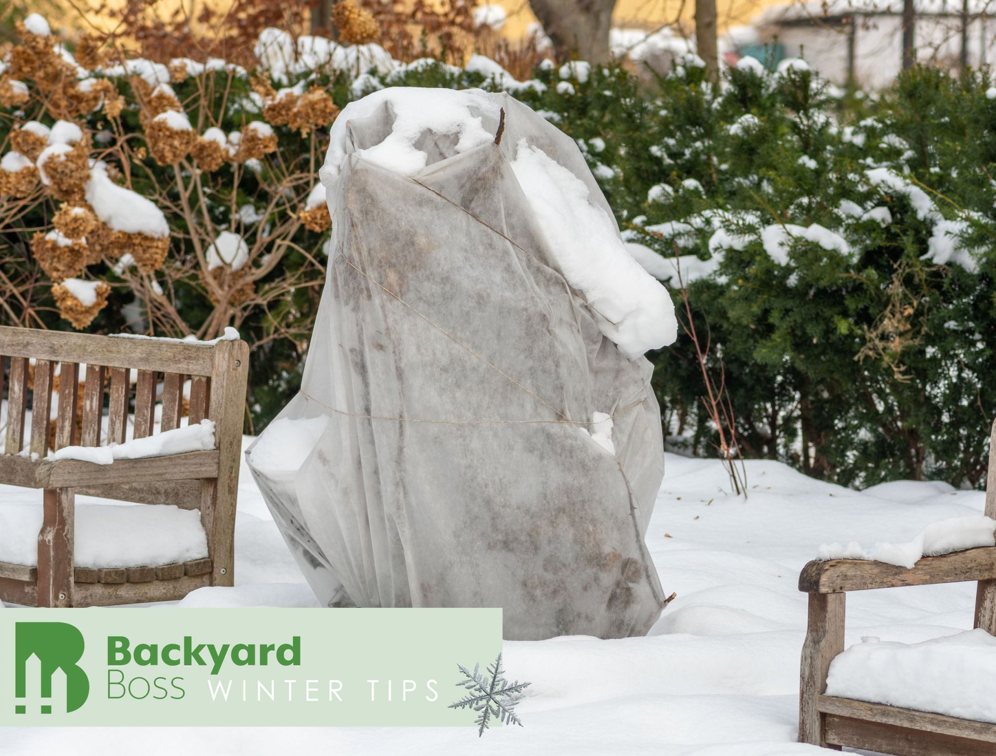 8 Clever Ways To Protect Your Plants In Winter
