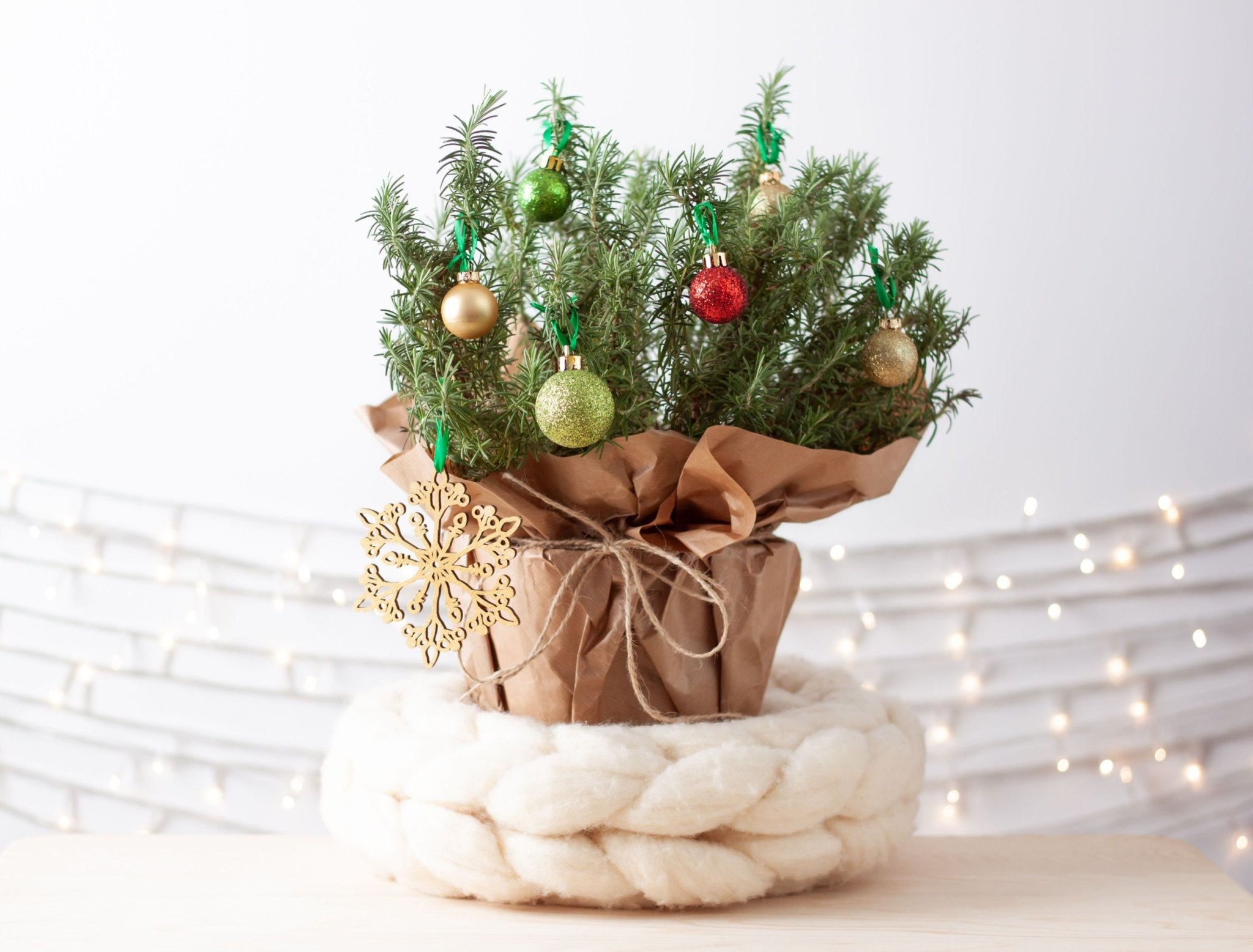 7 TIPS TO MAKE YOUR CHRISTMAS TREE LAST LONGER Flipboard